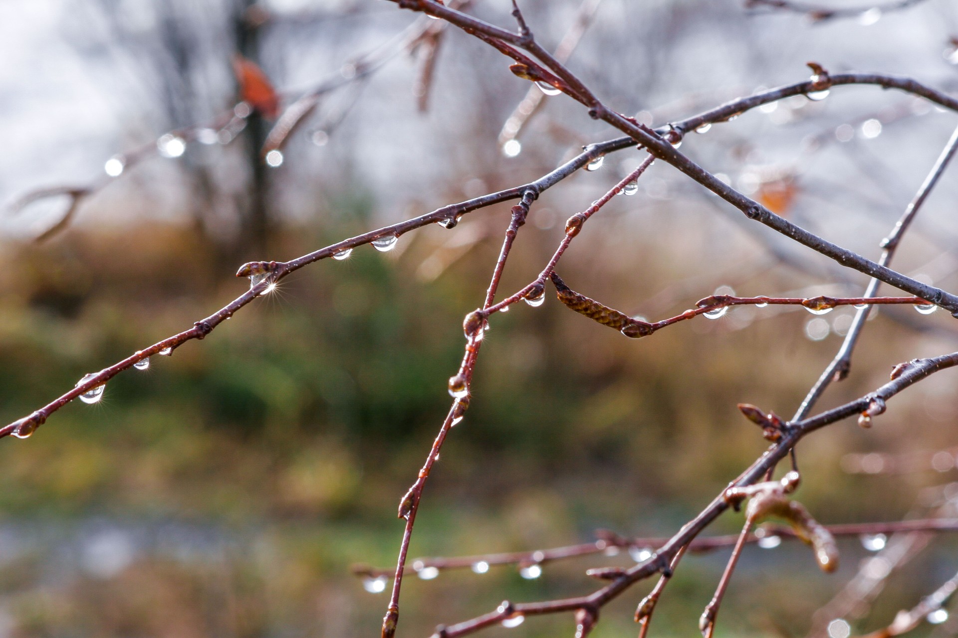 Goutte d eau drac
