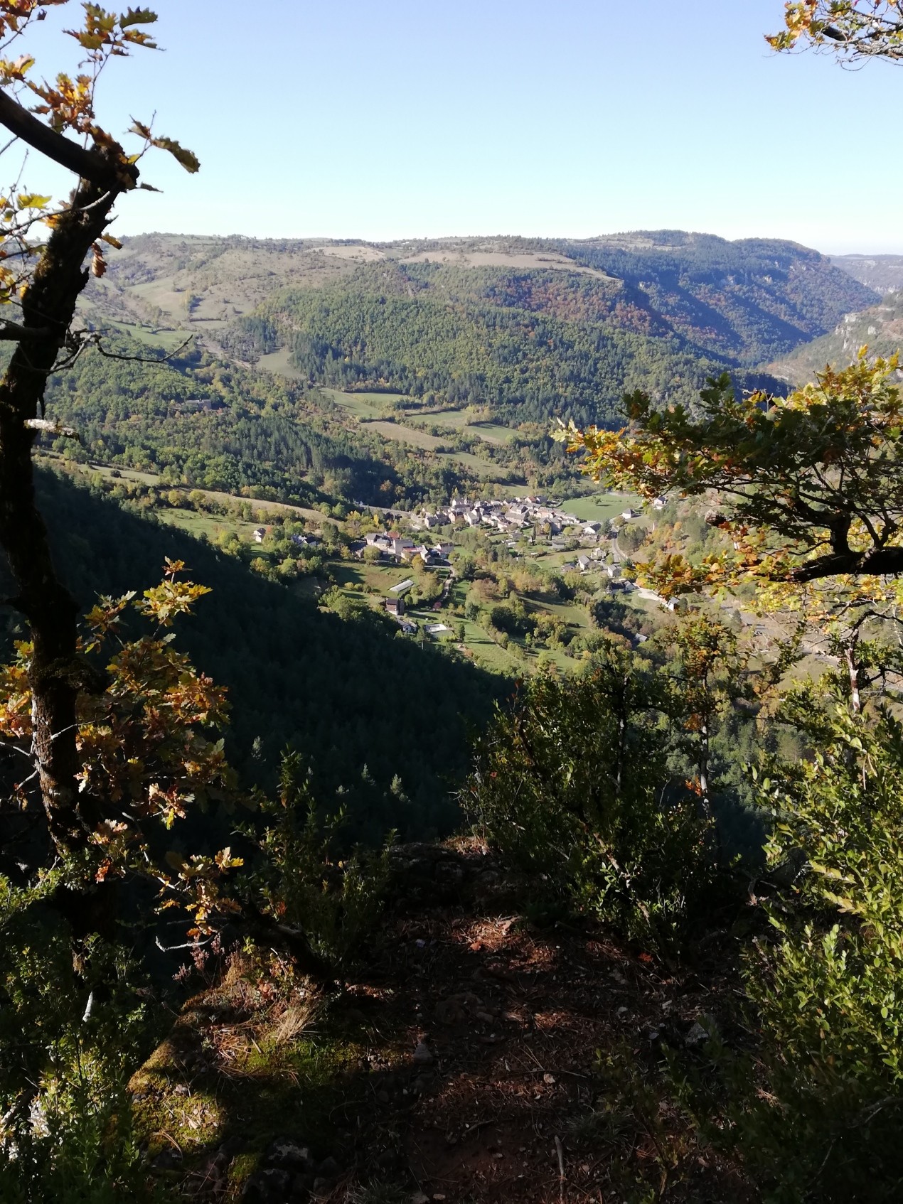 Img 20201018 113255