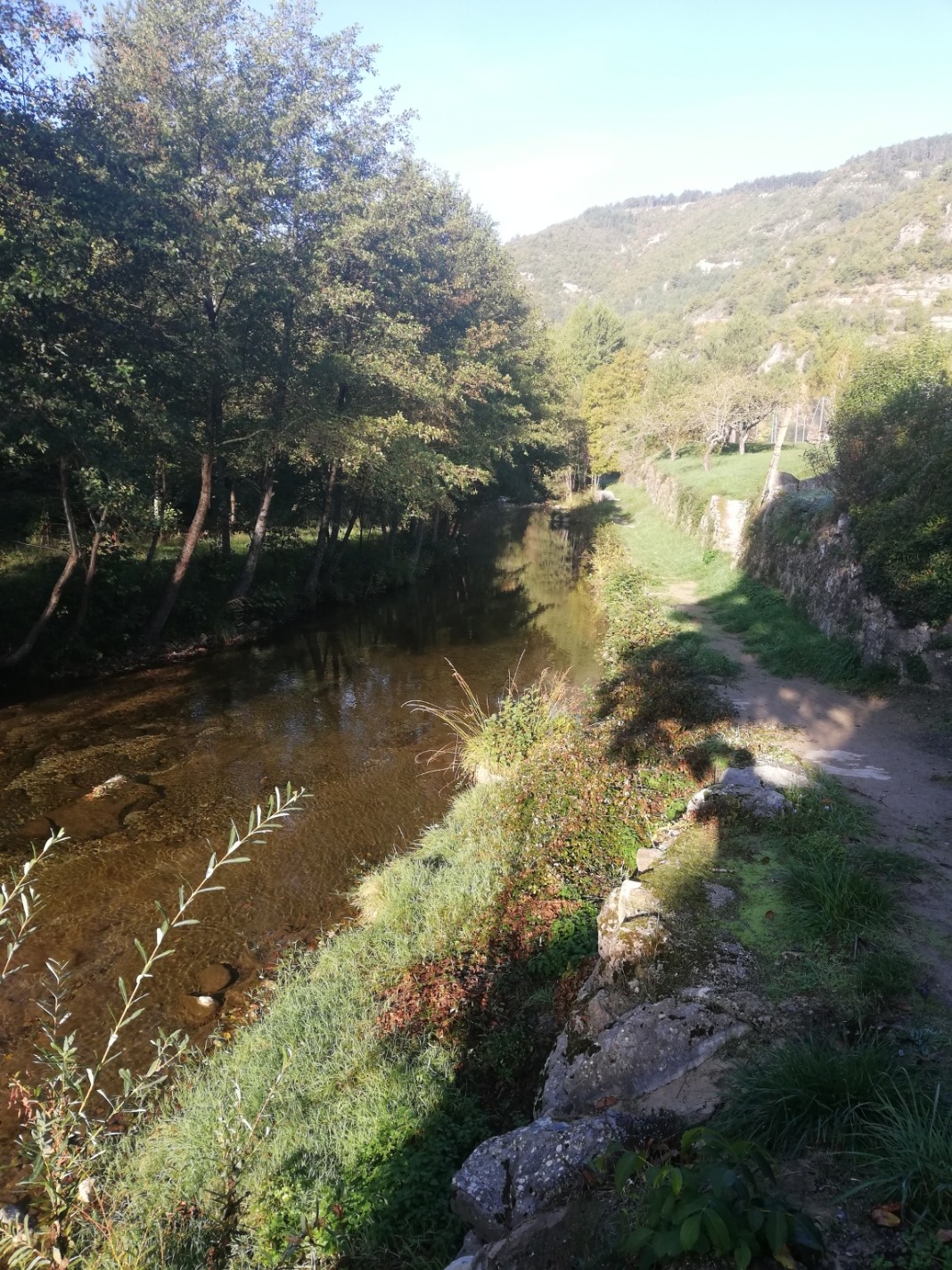 Img 20201019 095050