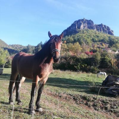 Img 20201019 095809