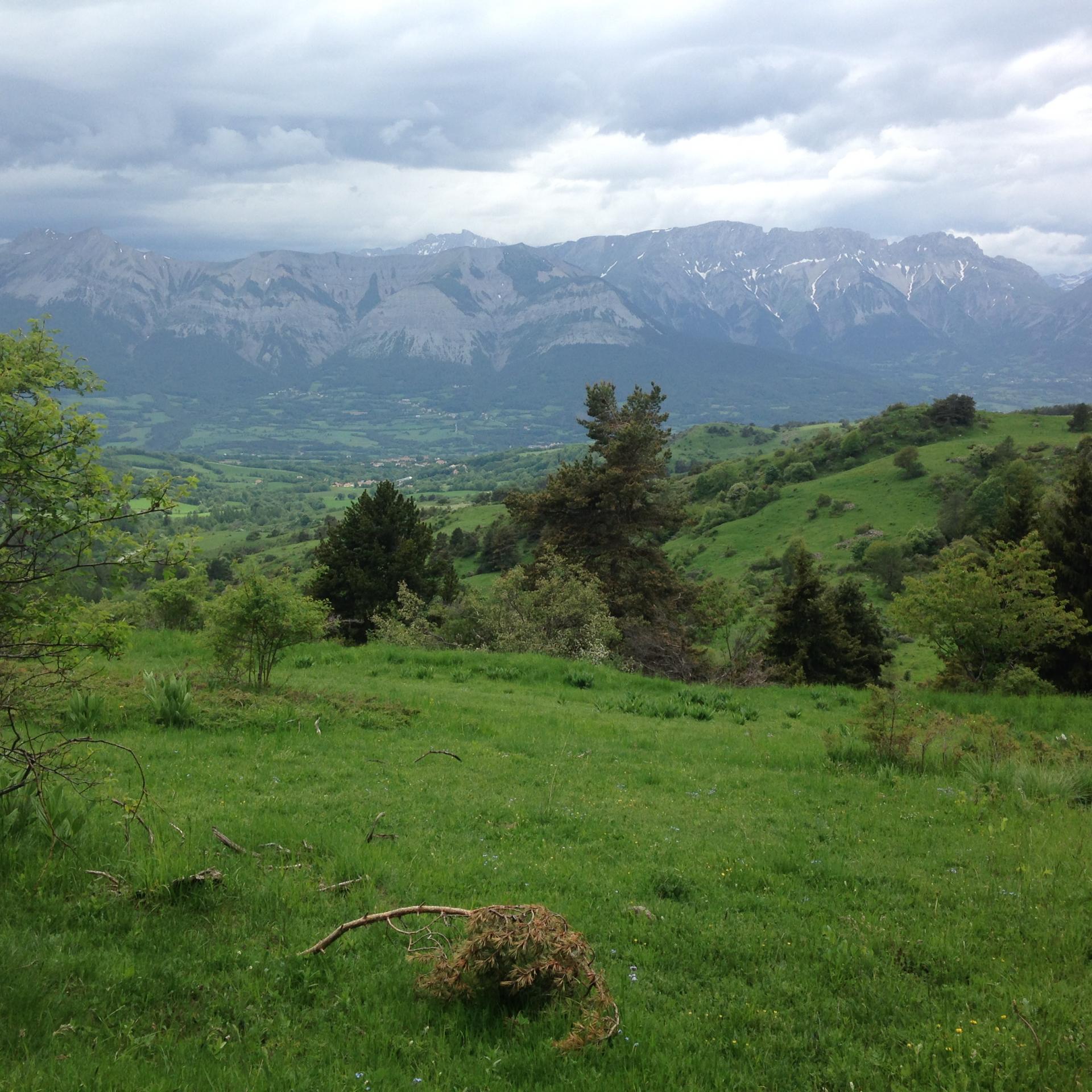 LE CHAMPSAUR  !